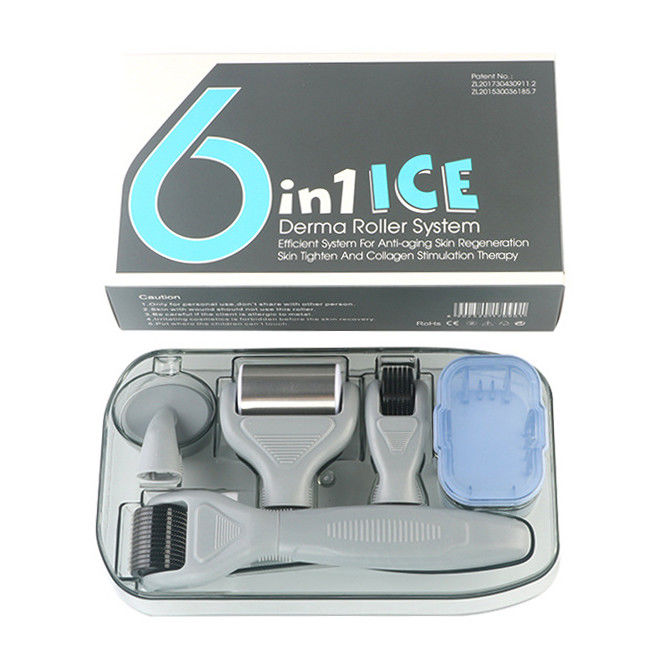 Manicotto PC medico professionale ICE Derma Roller 6 in 1 per il ringiovanimento della pelle