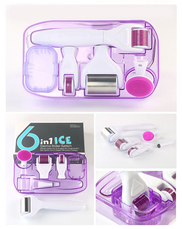 Manicotto PC medico professionale ICE Derma Roller 6 in 1 per il ringiovanimento della pelle