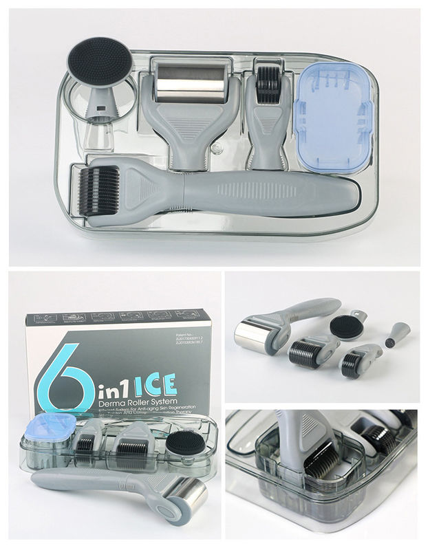 Manicotto PC medico professionale ICE Derma Roller 6 in 1 per il ringiovanimento della pelle