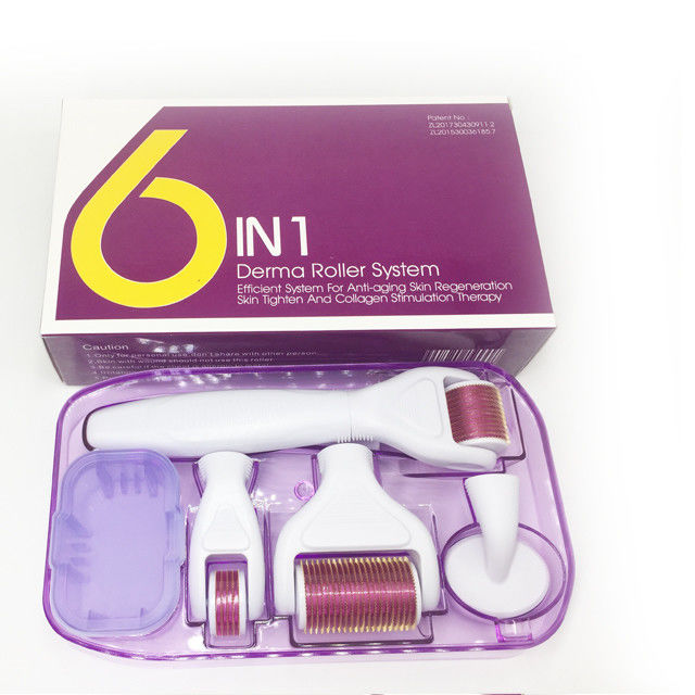 Derma Rolling System e materiale dell' ago Acciaio inossidabile / Titanio 6 in 1 Derma Roller