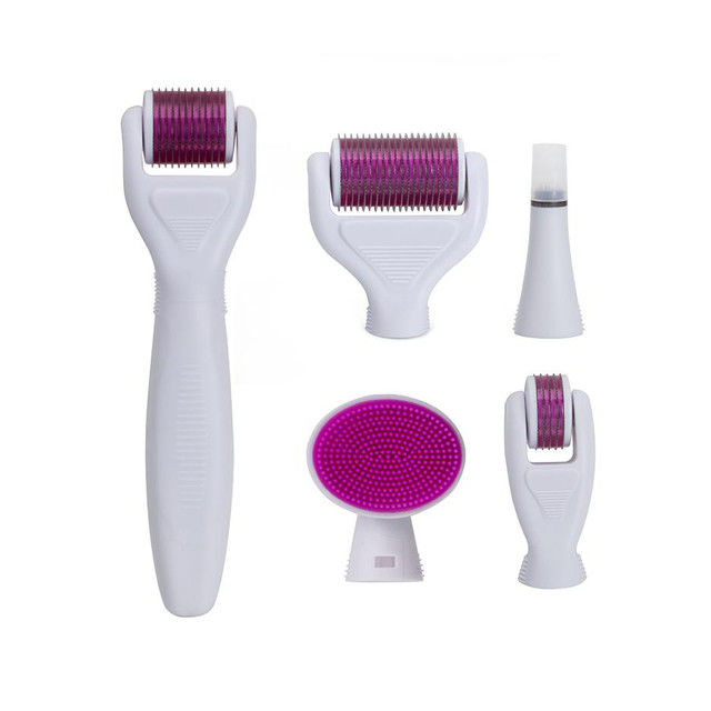 Derma Rolling System e materiale dell' ago Acciaio inossidabile / Titanio 6 in 1 Derma Roller