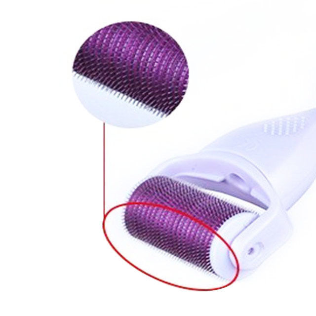 1200 perni Aglio in titanio Microneedle Derma Roller per la pelle per la zona bersaglio della testa e altro
