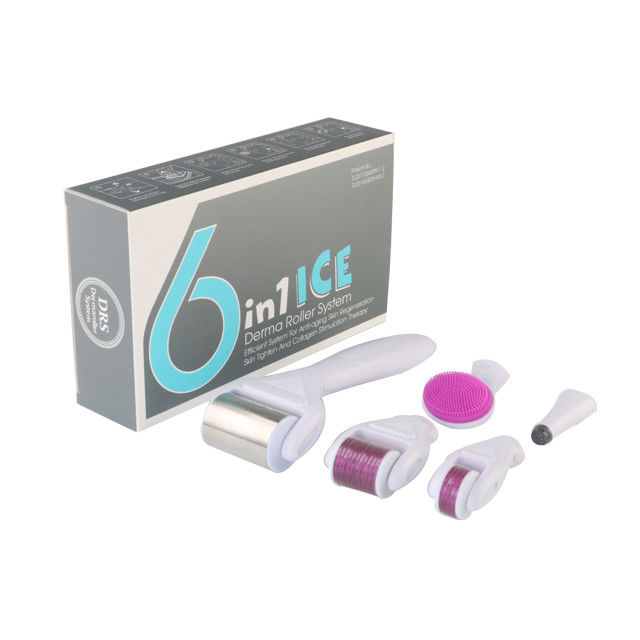 6 in 1 Kit Derma Roller con Ice Roller Skin Cooling Derma Care Facial Beauty NO Plugs Tipo