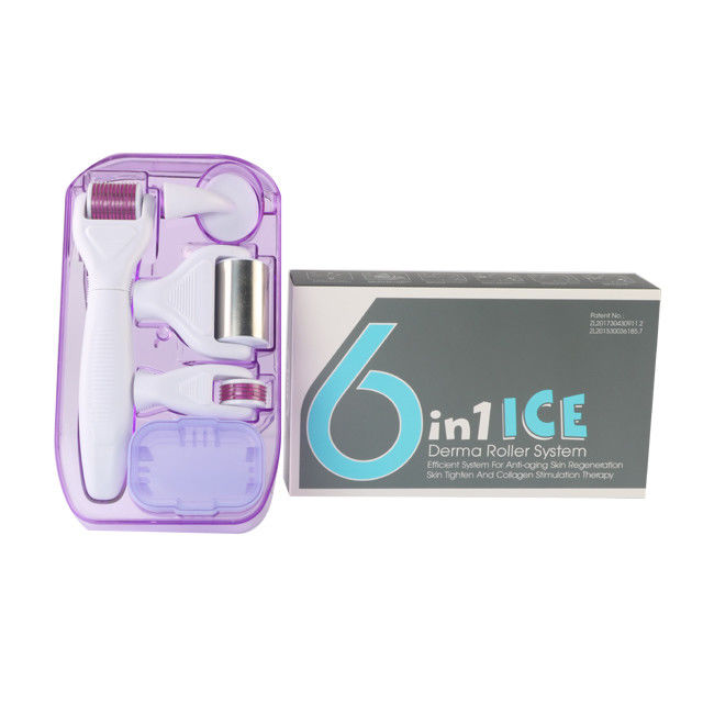 6 in 1 Kit Derma Roller con Ice Roller Skin Cooling Derma Care Facial Beauty NO Plugs Tipo