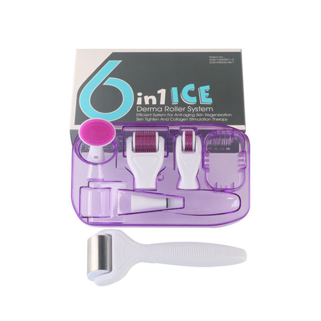 6 in 1 Kit Derma Roller con Ice Roller Skin Cooling Derma Care Facial Beauty NO Plugs Tipo