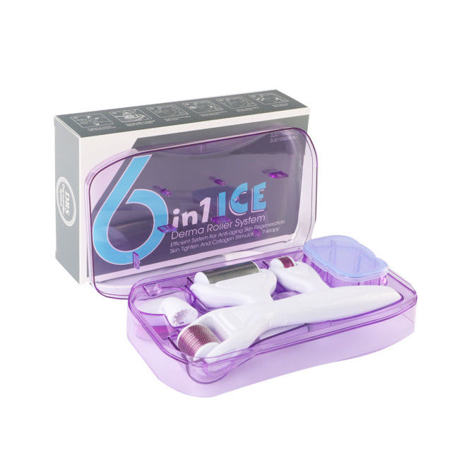 6 in 1 Kit Derma Roller con Ice Roller Skin Cooling Derma Care Facial Beauty NO Plugs Tipo