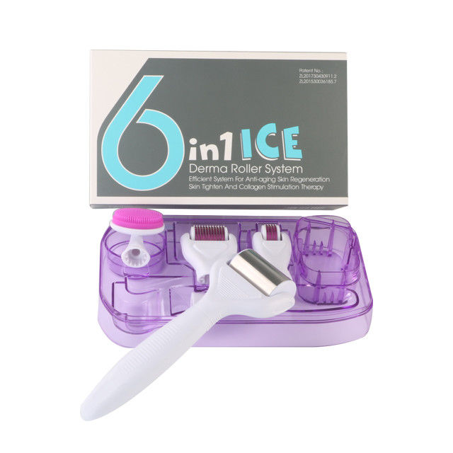 6 in 1 Kit Derma Roller con Ice Roller Skin Cooling Derma Care Facial Beauty NO Plugs Tipo